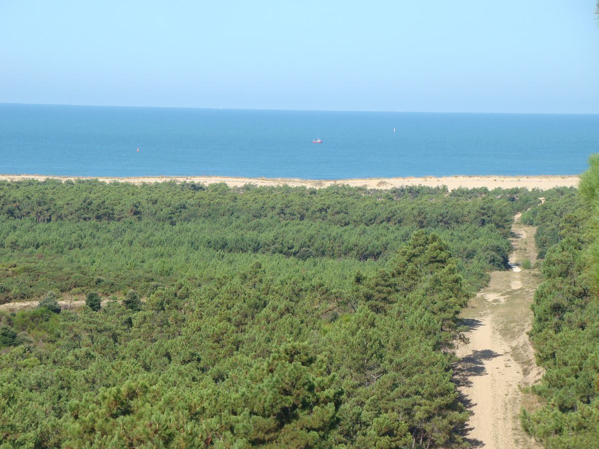 La Foret D'Armotte Saint-Augustin  Dış mekan fotoğraf
